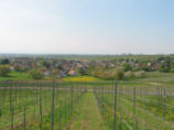 Sulzburg-Laufen Ortsanalyse