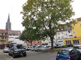 Ulm