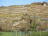 Weinberge Heilbronn