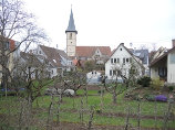 Neckarweihingen